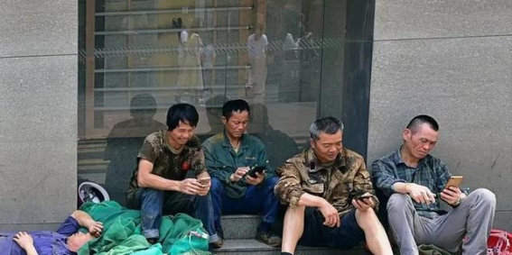 山楂与心血管健康的秘密