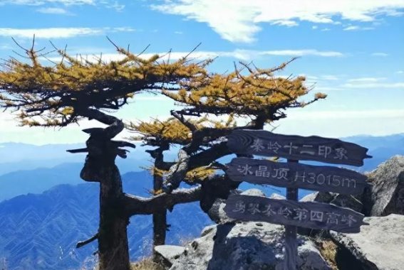 情侣夜爬秦岭：生死瞬间的绝望与教训