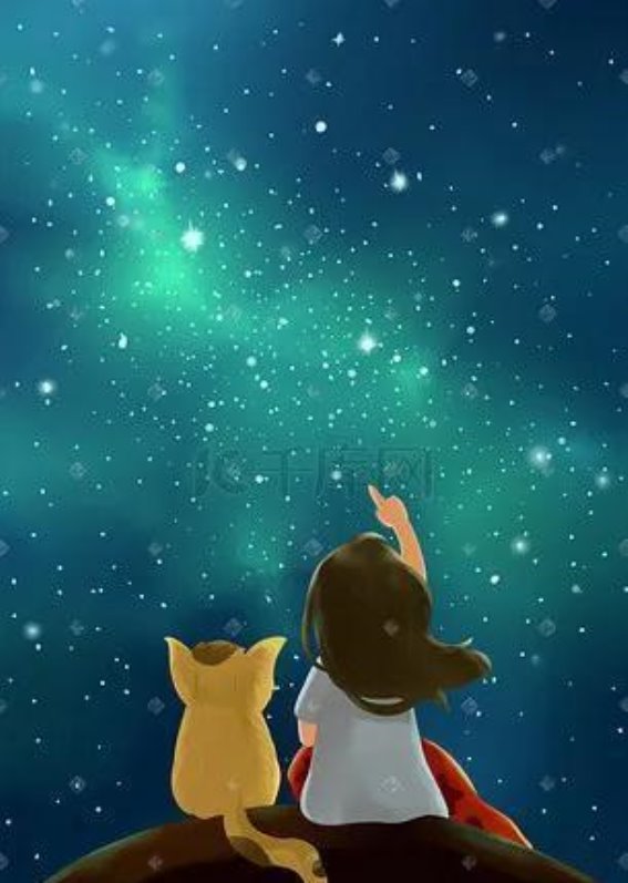 《生命之间的最后告别：雨夜狂奔，女孩与猫的真情故事》