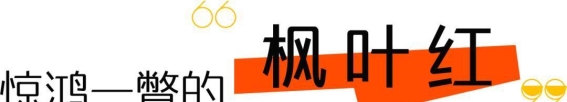 冬日重固的色彩篇章