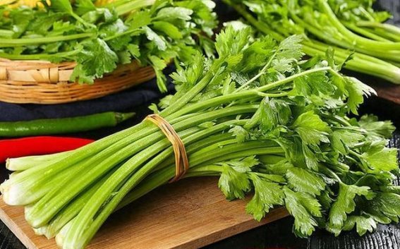 芹菜的四大神奇功效，春天常吃它，身体发生这些变化