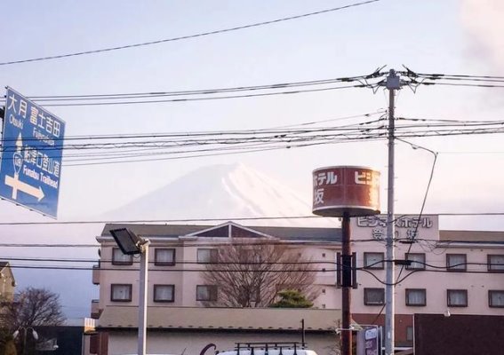 樱花国的记忆：一场文化与风景的邂逅