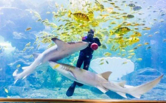 春日青岛，山海相伴：尼格买提的旅行日记