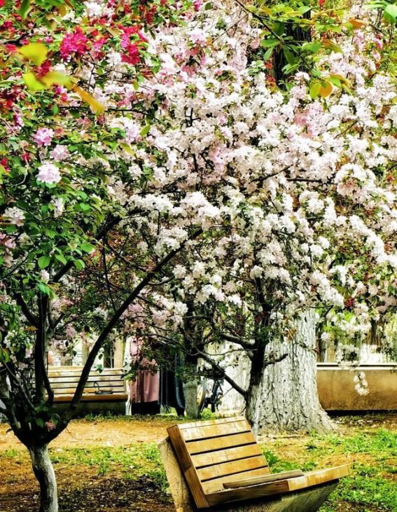 春日辽宁，地铁直达花海，浪漫就在身边