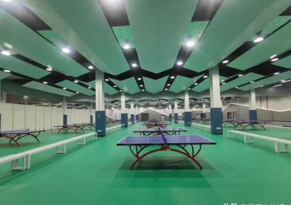 仙居全民体育馆：为市民打造高品质健身新天地