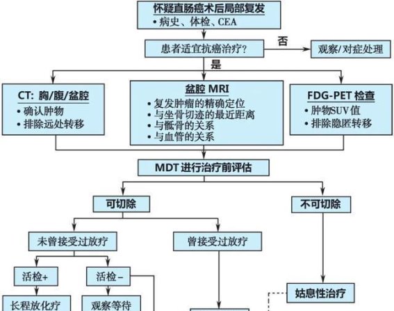 复发性或转移性结肠癌的个体化治疗与临床进展