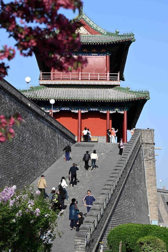 清明踏春，拥抱大自然的生机与宁静