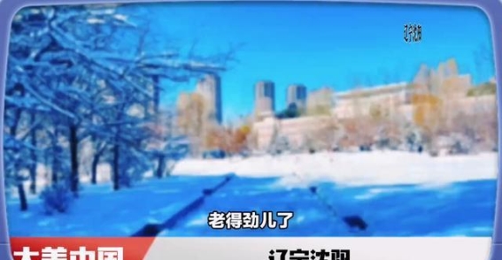 走进沈阳：历史与现代的交织之地