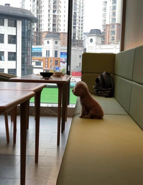 全季与亚朵：细节之下的真实体验差距