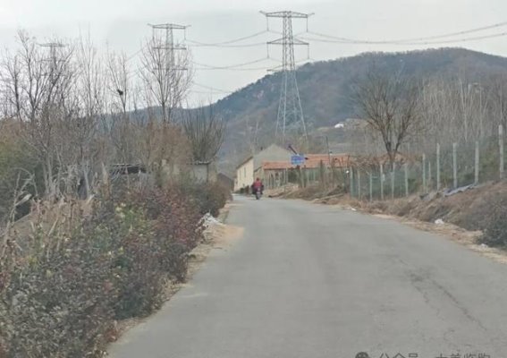 临朐巨家沟村：一颗山间的绿宝石