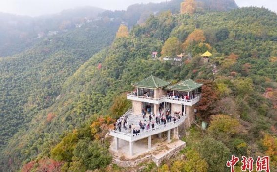莫干山红枫节：红叶如火，文脉悠长