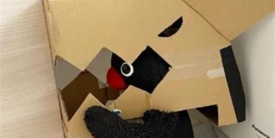 荒岛求生的悲剧与真相