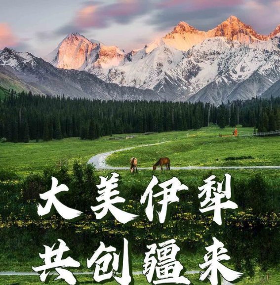 无畏挑战，勇敢前行——2024美乐家伊犁之行的深刻感悟