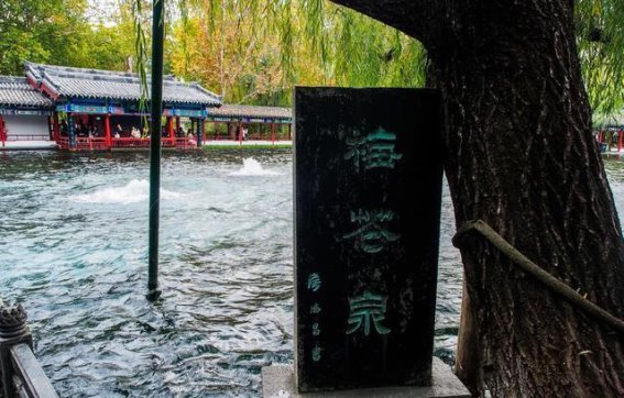 章丘梅花泉水势如锅涌，游客称奇
