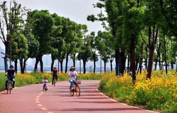 武汉后官湖滨水绿道：全新篇章的开启