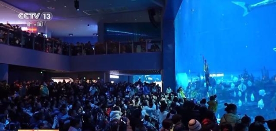 非遗春节，文旅活动新风尚