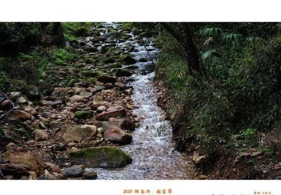 湖南行游日记（22）—漫步张家界黄石寨（四）