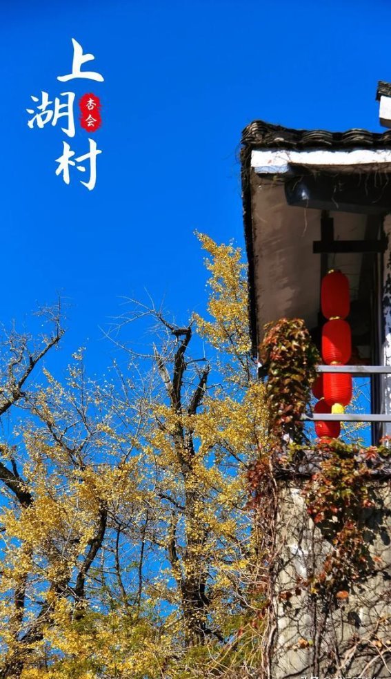 上湖村的秋日诗篇：自然与文化的融合之美