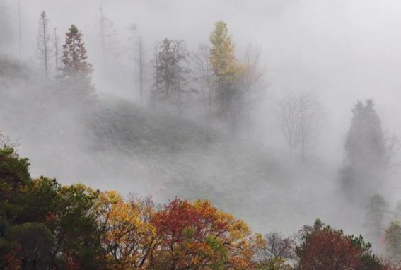 仙寓山的四季诗意，邂逅大自然的浪漫之境