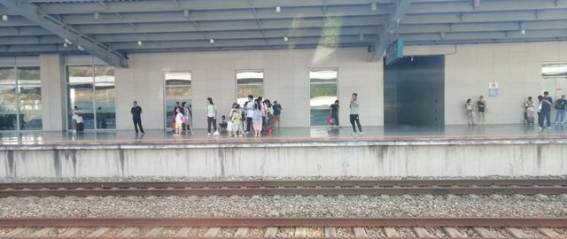 她不出门旅游的真正原因