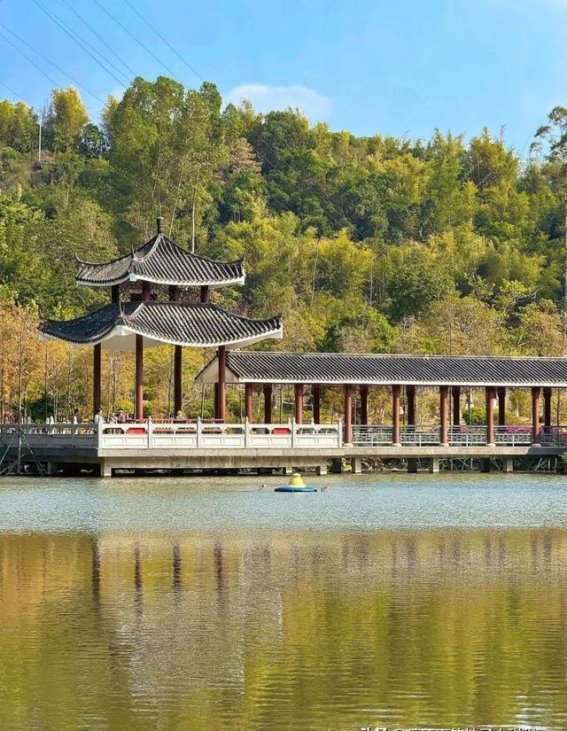 广州华圣公园：冬日里的诗意栖息地，适合全家一起享受的宁静乐园