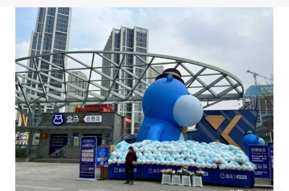 宠物携带进食品销售区域引发的公共卫生争议：南京盒马鲜生事件探讨
