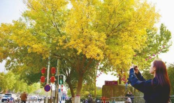 秋色斑斓，醉人心扉