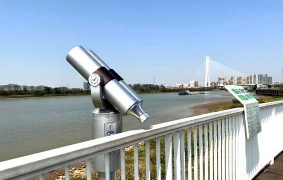 禅城春日鹭鸟观赏新去处，免费开放等你来打卡