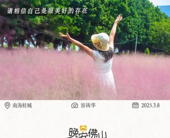 记录佛山的美好瞬间，分享生活的点滴