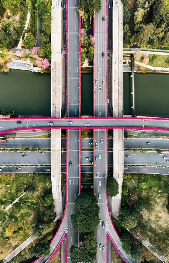 深圳空中花廊：花开如海，春意盎然