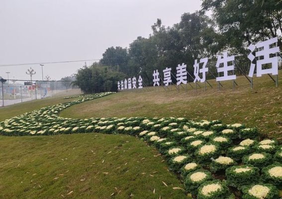 繁花似锦，长宁迎春新景