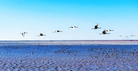 清明假期不调休！这些辽宁景区推出“免费”政策，邀您踏青寻春