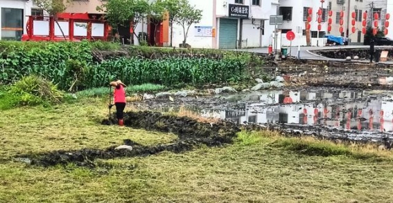 青”力而为焕景”新生