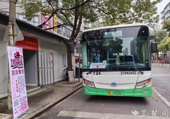 武汉公交三管齐下，畅行赏樱路