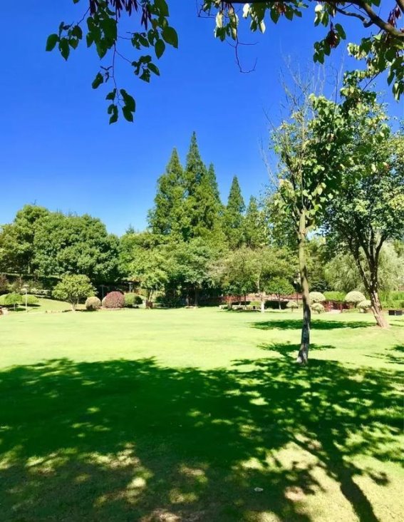 春光明媚的铜陵植物园，四月踏青好时光