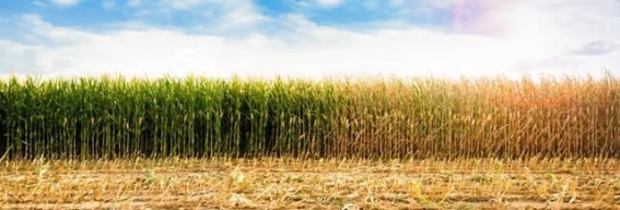 干旱天气，如何守护你的健康