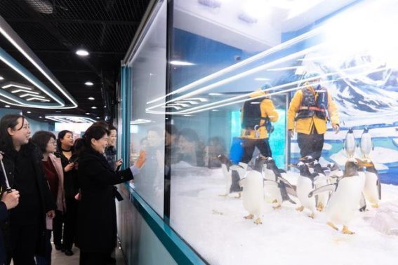 哈尔滨极地公园举行巾帼之光公益活动 劳模代表畅游极地 展示女性力量与风采
