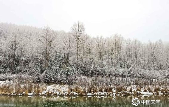 雪后塔尔寺：银装素裹，仿佛步入童话世界