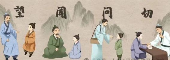 中医人体数据中心：全面解析身体健康的多维诊断方法