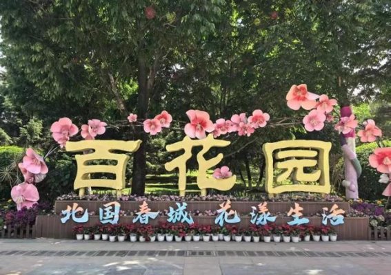 长春两场盛大花事：金葵映日，诗意花海