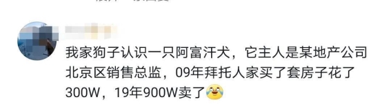 养狗人士的社交奥秘：狗狗带来的人缘世界