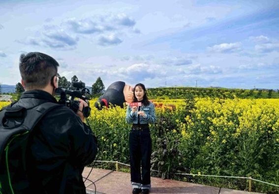 百万人次涌进金堂油菜花田，共享春日限定美景
