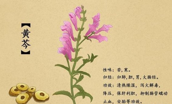 中医妙手重塑健康——孟先生天疱疮康复之路