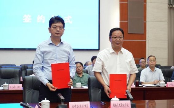 长沙入境旅游加速发展：乘势而上，打造国际旅游新高地