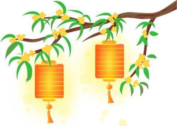 枫泾水乡婚典的浪漫盛事，传承与创新交织的宋制婚礼
