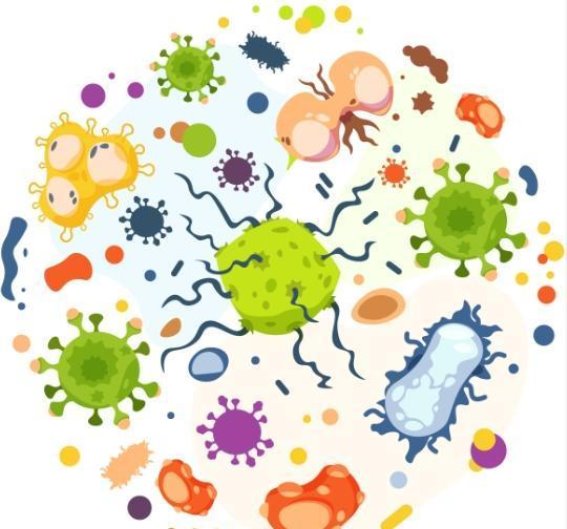 剩余食物二次加热的安全隐患与健康指南