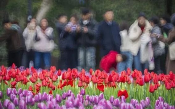 杭州春日温暖与寒冷交替，气温回升迎来好天气
