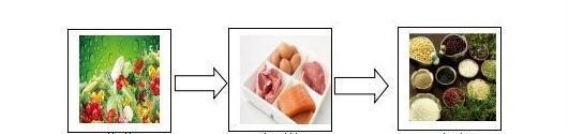 空腹进食的禁忌与科学搭配：如何合理安排饮食以维护健康