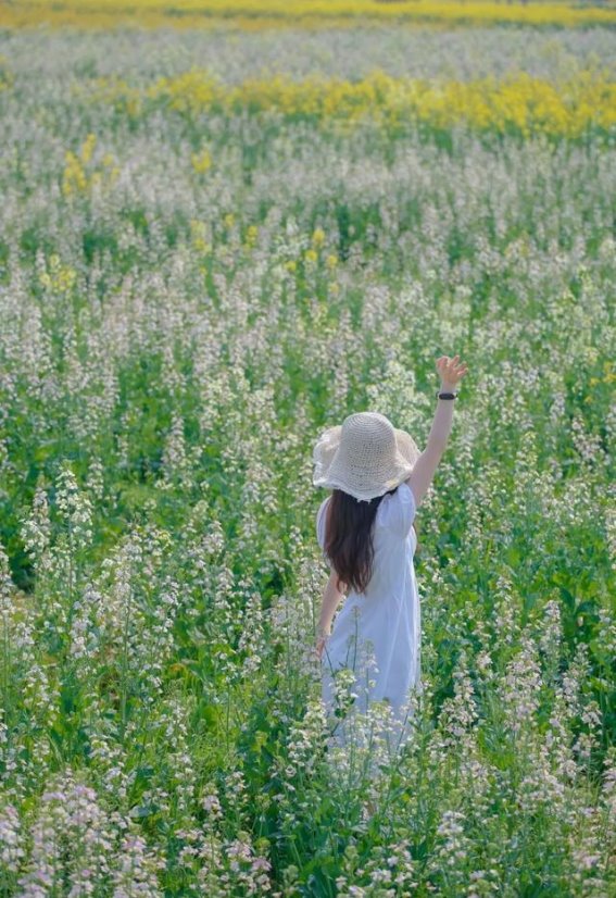 上海小众赏花地，春日里的秘密花园