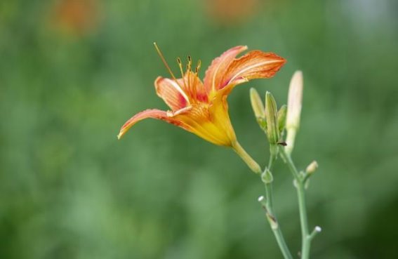 50岁之后的养生之道：三“少”让你健康长寿